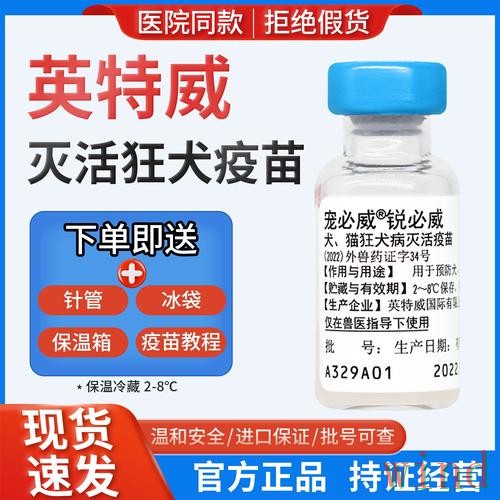 必威正规版入口说明与使用指南 必威正规版入口说明与使用指南